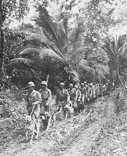 Marine Dog Platoon