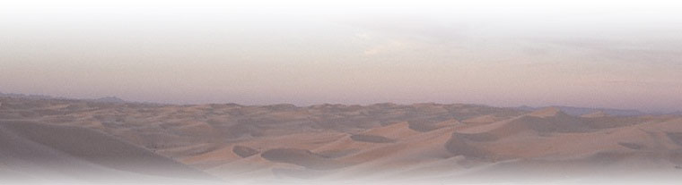 Imperial Valley Sand Dunes