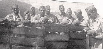 Inspecting goods from a pineapple truck