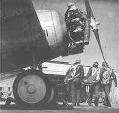 Pilots