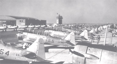 Field of SNJ's